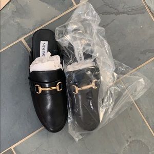 STEVE MADDEN KANDI MULES